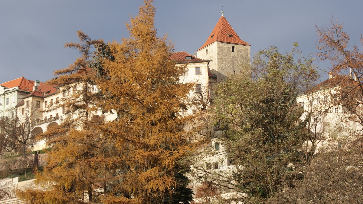 2011-12-senát-66