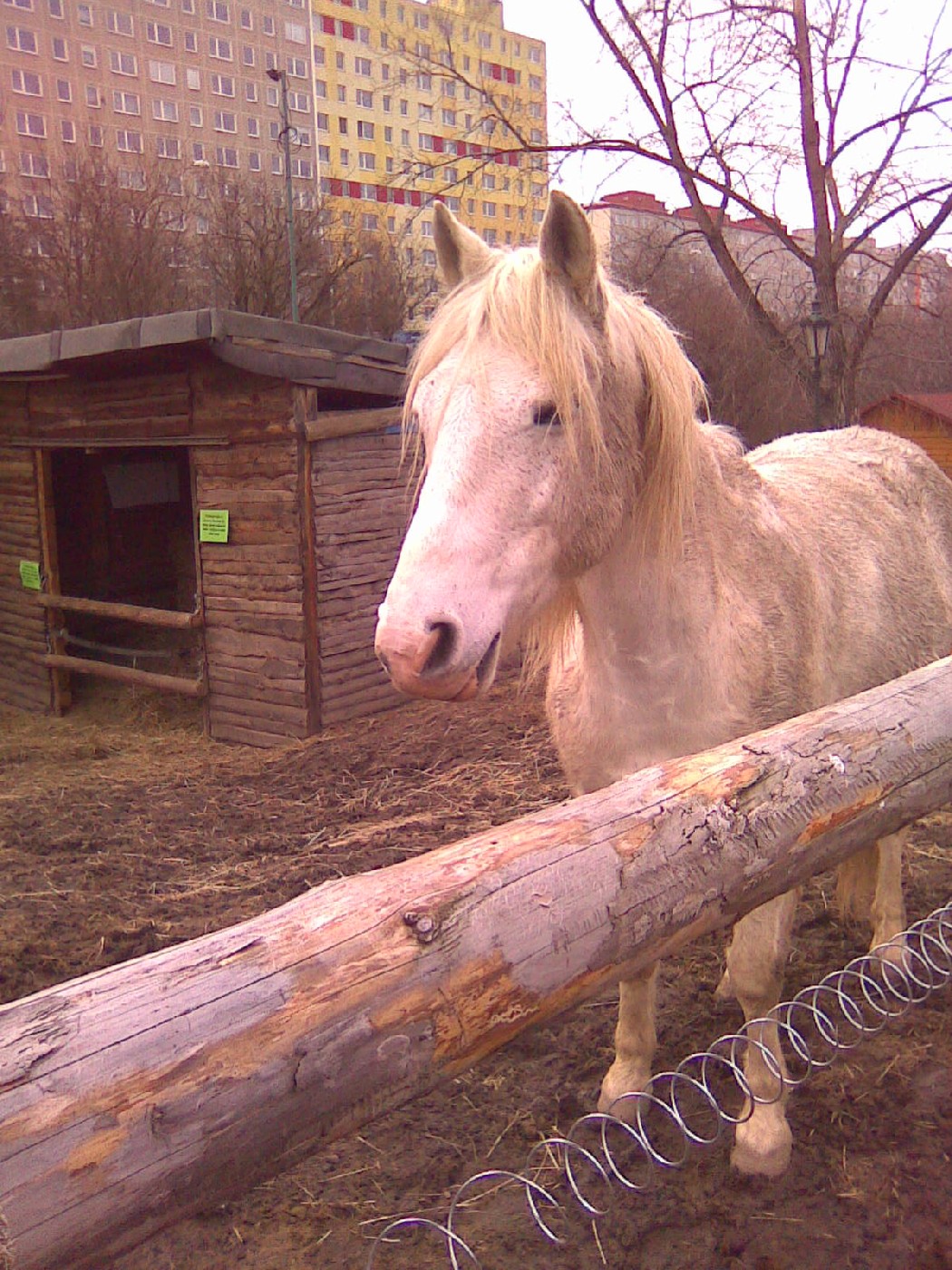 2012-02-23-Toulcův dvůr-11s